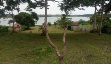 WhatsApp Image 2022-09-06 at 10.05.28 AM.jpeg